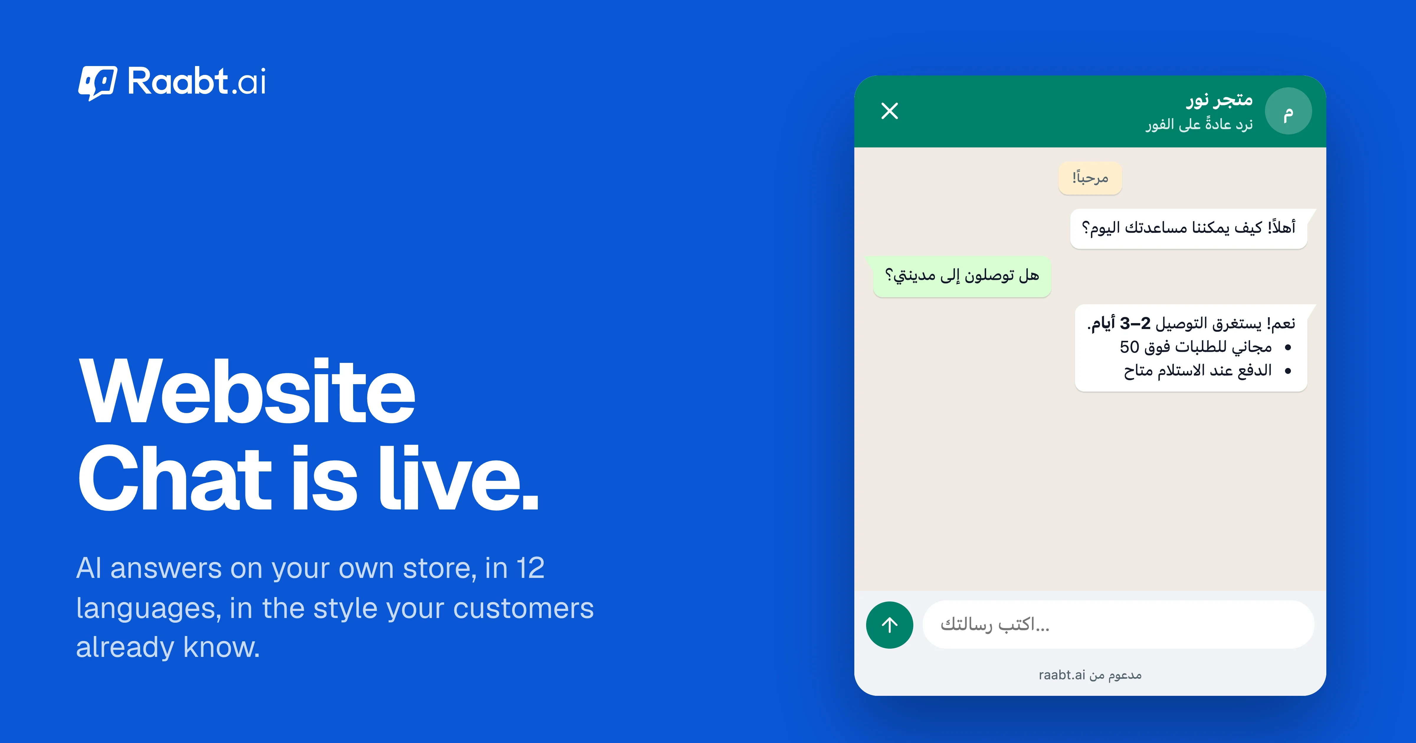 Yapay Zeka Sohbet Widget'ı: Online Mağazanız İçin Raabt
